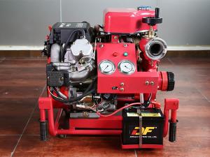 Portable Fire Pump 